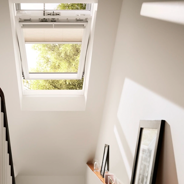 rooflights